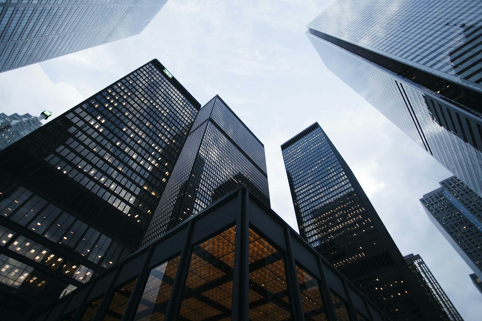 Owlio Works Corporate Terms and Conditions